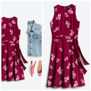 LAUREN RALPH LAUREN DRESSES Felia Knit Dress Size 12